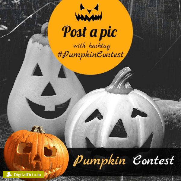 Halloween: pumpkin contest